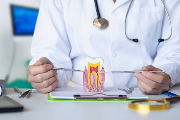 Best Knocked-Out Tooth Emergency  in Antelope, CA